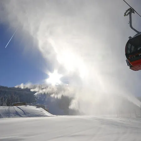 Baumanngut * Wagrain